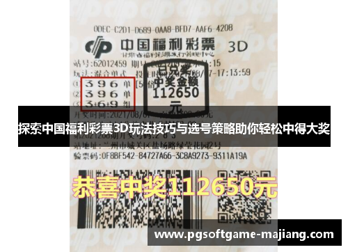 探索中国福利彩票3D玩法技巧与选号策略助你轻松中得大奖